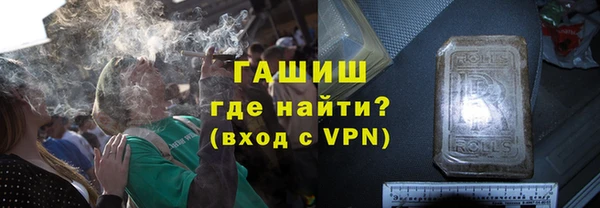твердый Краснослободск