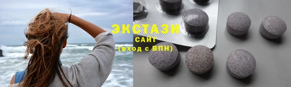 твердый Краснослободск