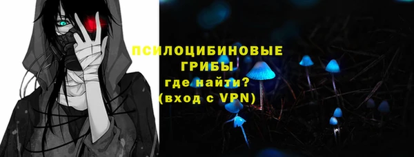 ГАЛЛЮЦИНОГЕННЫЕ ГРИБЫ Красноперекопск