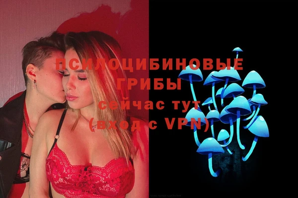 твердый Краснослободск