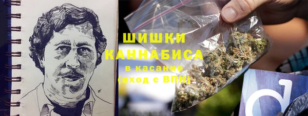 ГАЛЛЮЦИНОГЕННЫЕ ГРИБЫ Красноперекопск
