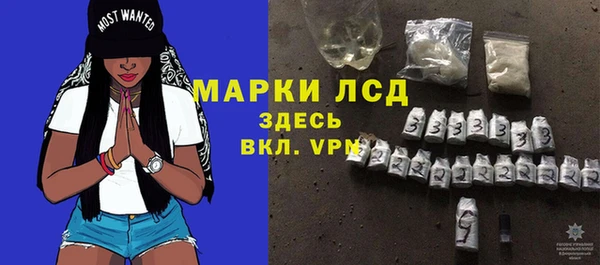 твердый Краснослободск
