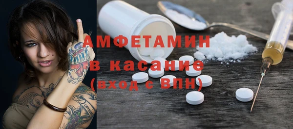 твердый Краснослободск