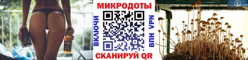 Купить закладки Электроугли Псилоцибиновые грибы прущие грибы